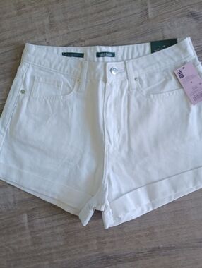 NWT Wild Fable Highest-Rise Mom Denim Shorts